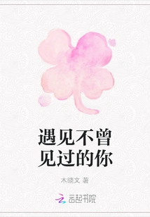 Meeting You Whom I Have Never Seen Before