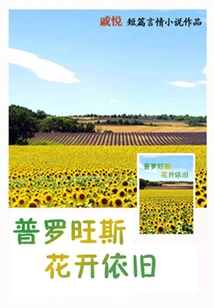 Provence Flowers Still Bloom