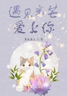 Fall in Love with You When I Meet the Light