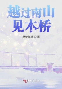 Crossing the Minamiyama Wooden Bridge