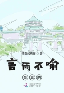 It's True That Words Are Not Met