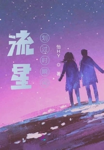 The Moment When a Meteor Flies Across