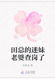 Mr. Tian's Fangirl Wife Has Been Checked