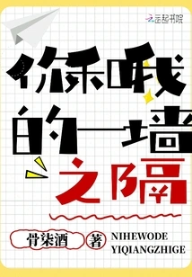 There's a Wall between You and Me