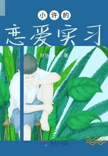 Xiao Xu's Love Internship