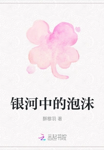 Bubbles in the Milky Way