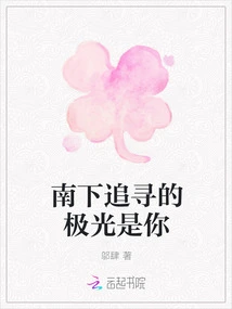 The Aurora I Am Chasing South is You