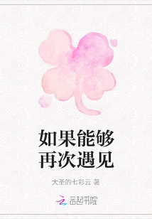 If We Can Meet Again