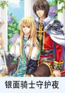 Silver Masked Knight Guards the Night