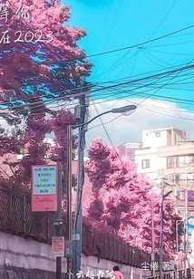 Waiting for You in 2023