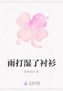 The Rain Wet the Shirt