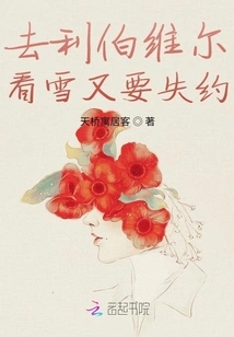 I Went to Libreville to See the Snow and I Had to Miss My Appointment Again