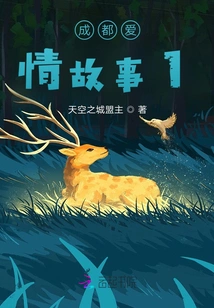 Life in Chengdu in Parallel Time and Space