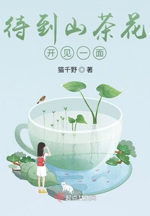 Wait Until the Camellias Bloom to See You