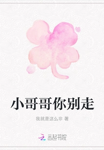 Little Brother, Don't Go