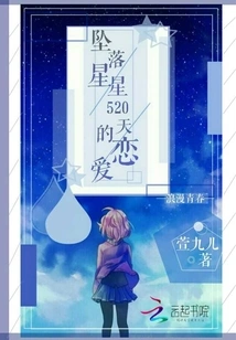 Falling Stars: 520 Days of Love