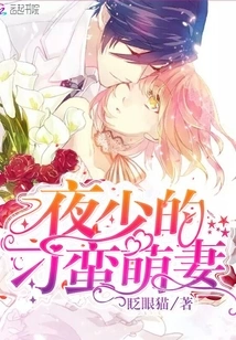 Ye Shao's Unruly and Cute Wife