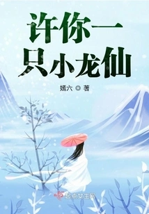 I Promise You a Little Dragon Fairy