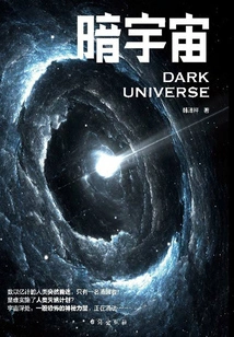 Dark Universe