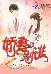 Marry One and Get Two: Dear Wife, Don't Run Away