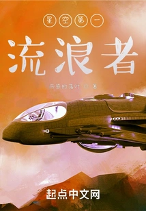 The First Wanderer in the Starry Sky