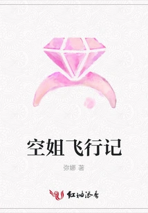 Stewardess Flight Diary