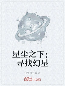 Under the Stardust: Searching for the Phantom Star