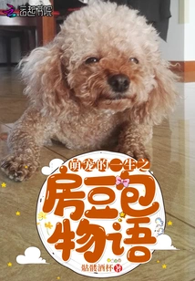 Cute Pet's House of Life Beanbag Story