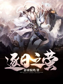 Fireflies Chasing the Sun