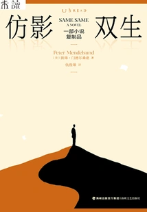 Imitation Twins: a Replica of a Novel