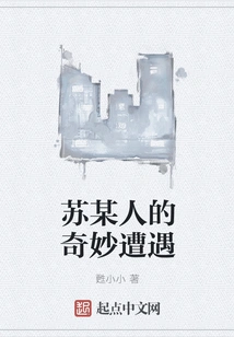 Su's Wonderful Experience