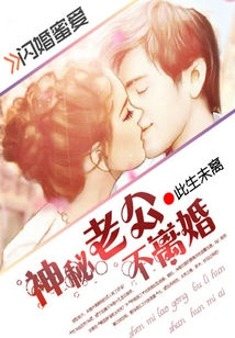 Flash Marriage and Sweet Love: Mysterious Husband Won't Divorce