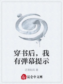 After Passing Through the Book, I Got a Barrage Prompt