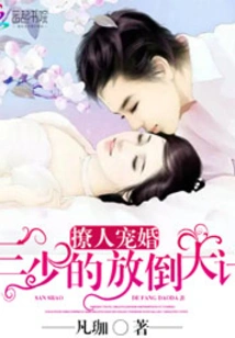 Third Young Master's Precious Wife