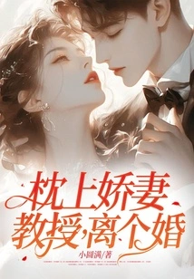 Lovely Wife on Pillow: Professor, Get a Divorce!