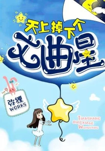 A Wenquxing Fell from the Sky