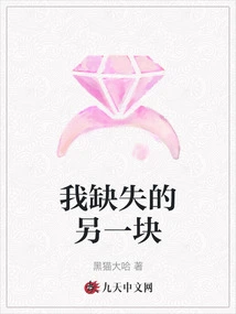 Another Piece I'm Missing