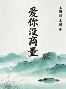 I Love You Without Negotiation