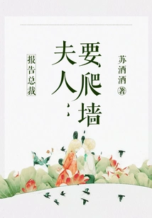 Report to the Ceo: Madam Wants to Climb the Wall