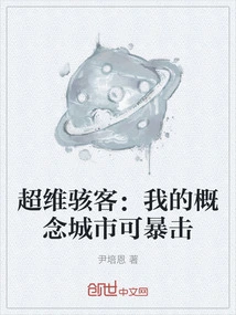 Super Dimension Hacker: My Concept City Can Critically Attack