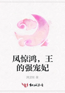 Feng Jinghong, the King's Powerful Concubine