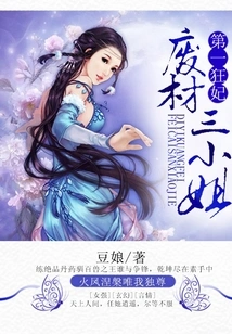 The First Crazy Concubine