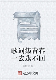 Lyrics Collection: Youth is Gone and Never Comes Back