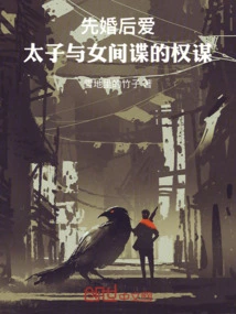 Marriage First, Love Later: the Plot of the Prince and the Female Spy