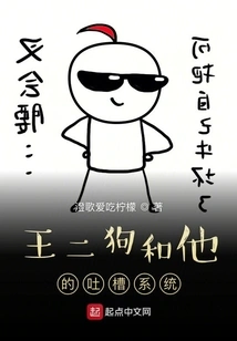 Wang Ergou and His Complaint System