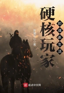 The Soul-based Life of a Hardcore Gamer