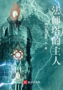 Master of the Mage Tower