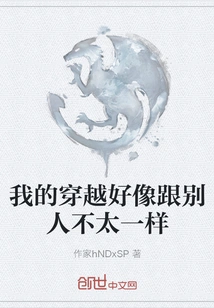 My Time Travel Seems to Be Different from Others