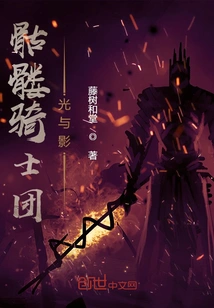 Skeleton Knights Light and Shadow