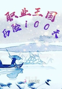 100 Days of Adventure in the Professional Kingdom